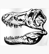 The Skull of a Tyrannosaurus Rex Poster