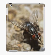 Macro - The Fly iPad Case/Skin