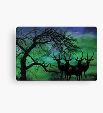 All Nature Canvas Print