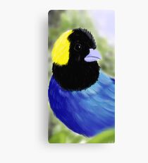 Bird Canvas Print