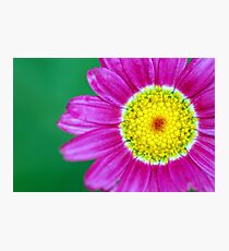 pink flower floral pattern Photographic Print