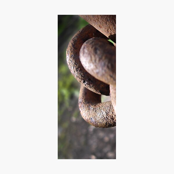 Chain Photographic Print
