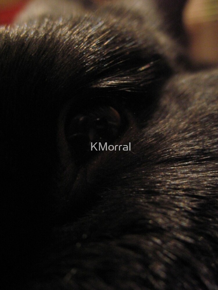 Golden Eye by KMorral