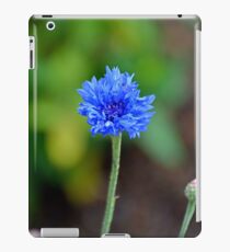 Grand Lake Floral Study 8 iPad Case/Skin