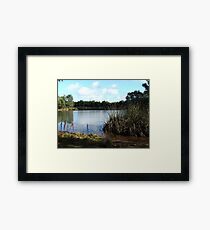 Wetlands Framed Print