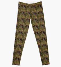 A Hungry Moose Leggings