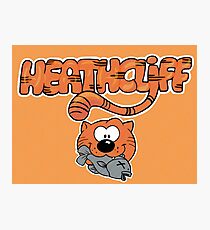 HeathCliff Photographic Print