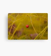 Red Spot Canvas Print