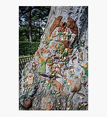 The Fairies Tree - Fitzroy Gardens Photographic Print