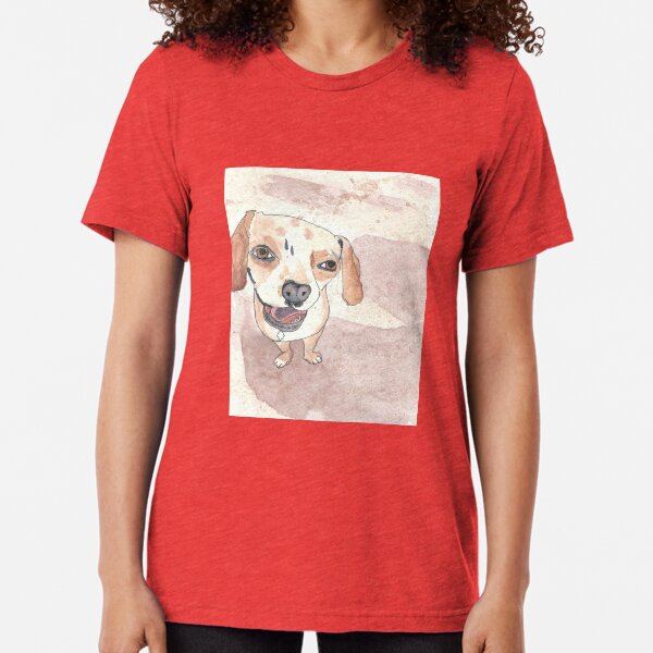Docker at the Beach Tri-blend T-Shirt