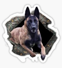 Pegatina Malinois salta de metal