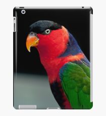 Black Capped Lory iPad Case/Skin