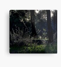 Fairyland.... Metal Print