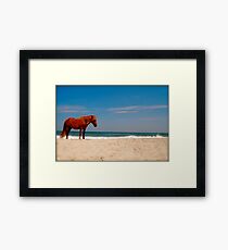 wild horses Framed Print