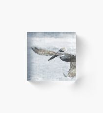 Flying Florida Pelican Acrylic Block