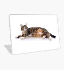 CATS 30 Laptop Skin