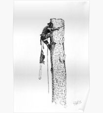 Arborist Tree Surgeon Lumberjack Logger chainsaw. Poster