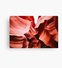 Wave Brush Canvas Print