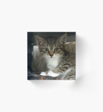 Babyboy Acrylic Block