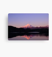 Mt Taranaki reflected in Lake Mangamahoe Canvas Print