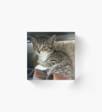 Babyboy PT 3 Acrylic Block