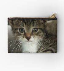 Babyboy PT4 Studio Pouch