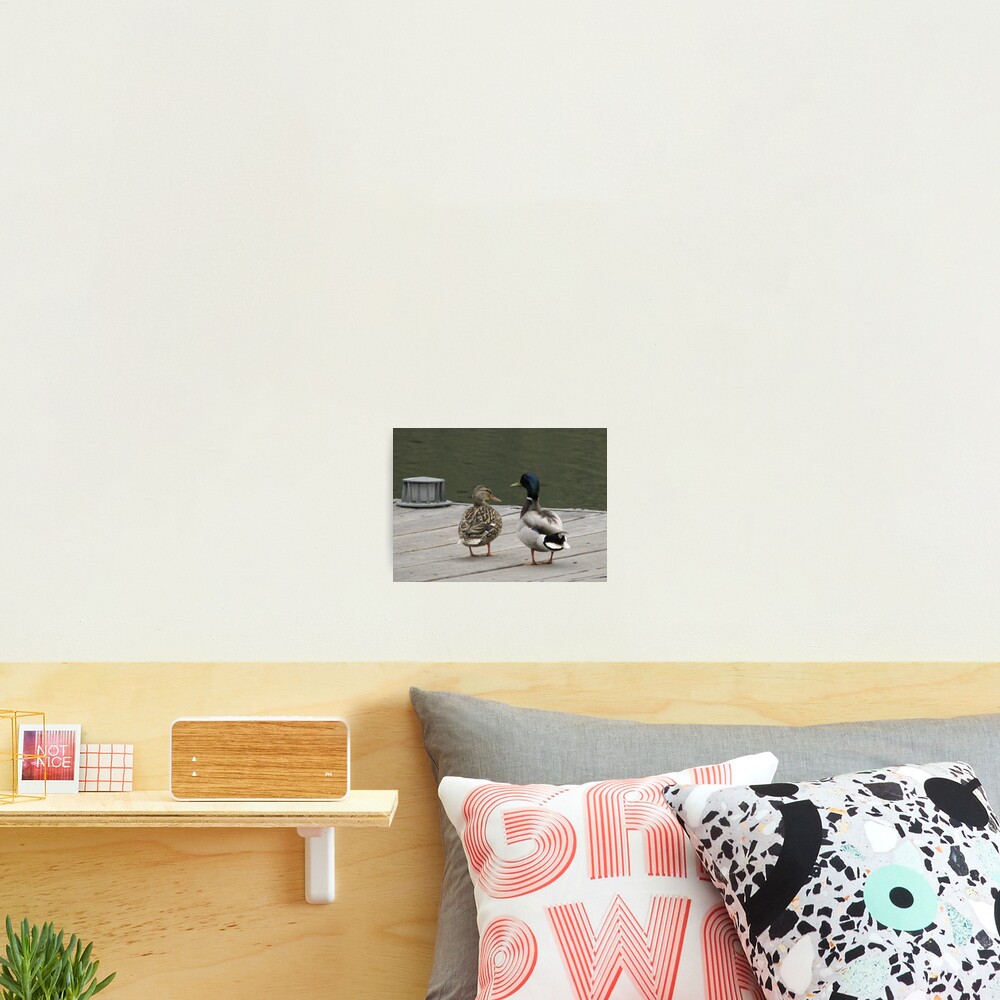 Did you hear the one about the two fish...? Photographic Print