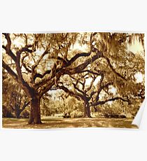 The Mighty Oaks Poster