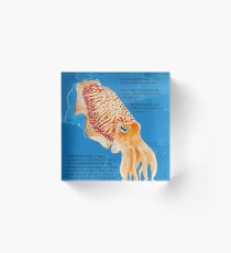 Cuttlefish Acrylic Block