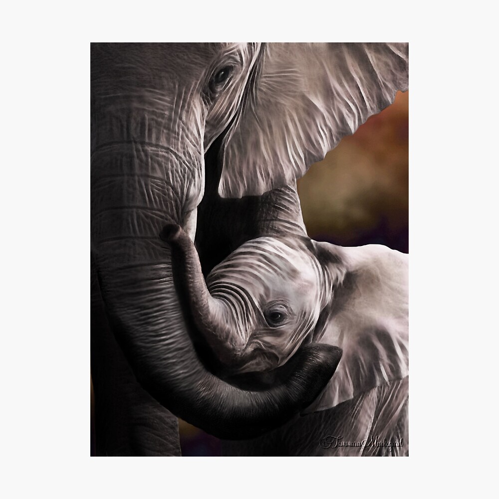 Suah Photographic Print