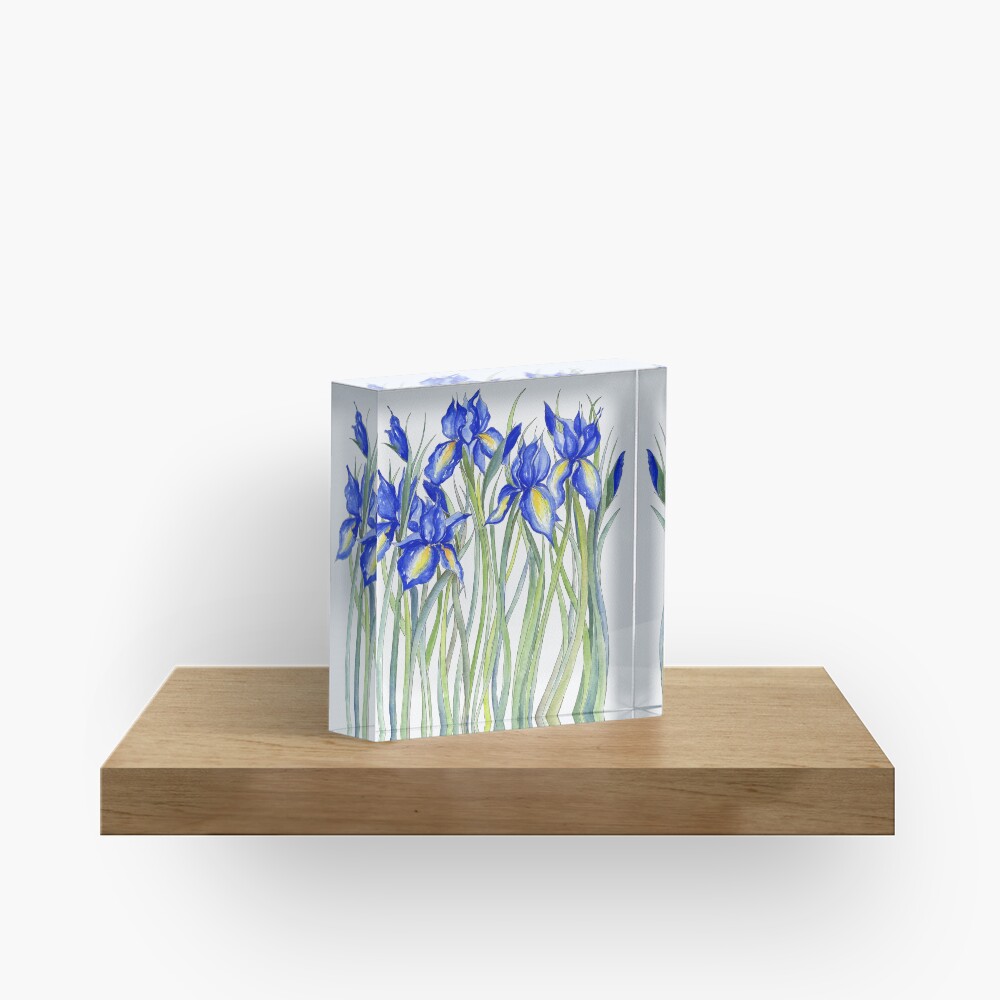 Blue Iris, Illustration Acrylic Block