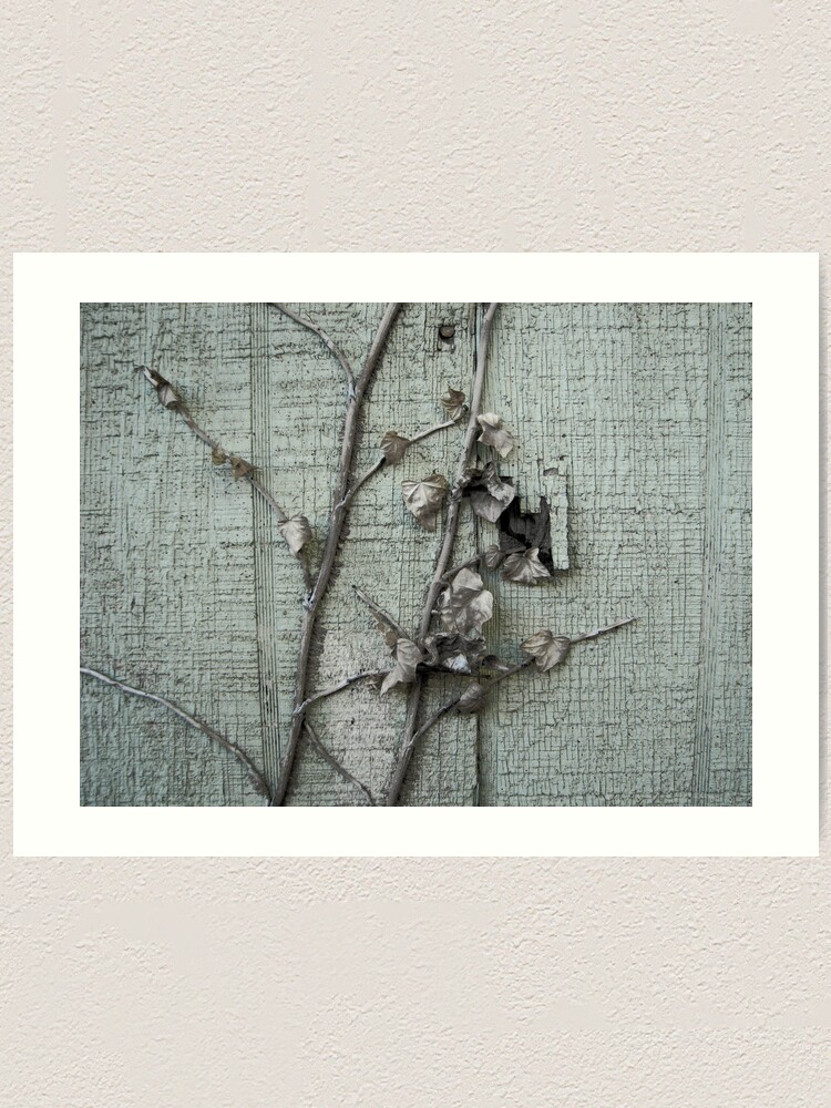 Alternate view of Old Paint with Vines Art Print