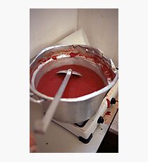 Saucy Photographic Print
