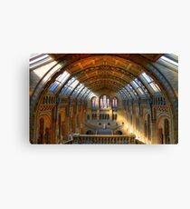 Natural History Museum - London Canvas Print