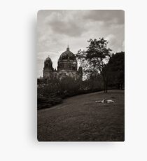 The Place In The Sun Canvas Print