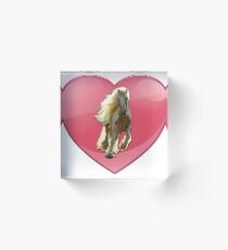 Irish Cob Horse Vanner Gypsy Horse in Love Heart Acrylic Block