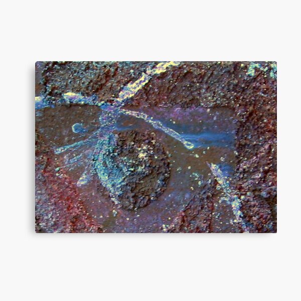Shooting Star Canvas Print
