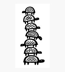 It's turtles all the way down Photographic Print