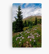 Colorado Backcountry Canvas Print