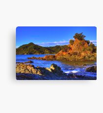Coromandel Canvas Print
