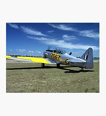 WWII Harvard / Texan or T-6 Photographic Print