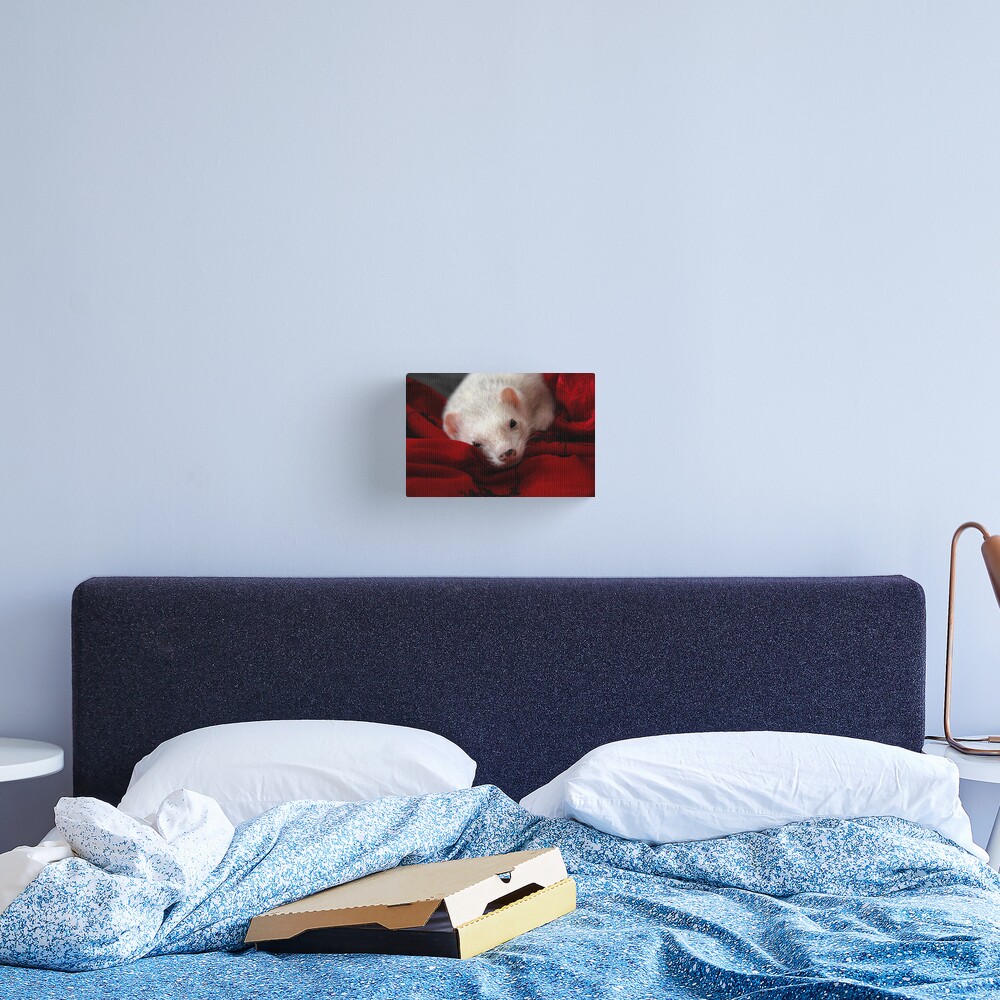 The Elegance Canvas Print