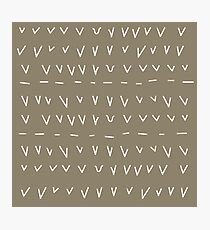 TALLY Photographic Print