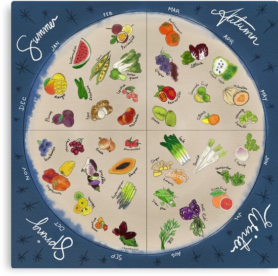 "Seasonal Produce Wheel" Canvas Prints by PennyFarthing Redbubble