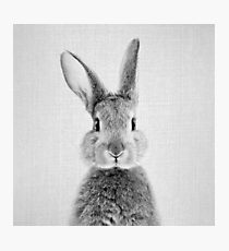 Kaninchen - Schwarz & Weiß Fotodruck