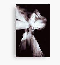 Showgirl Canvas Print