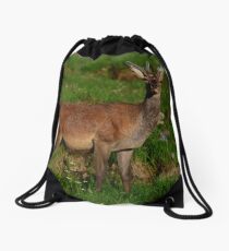 Red Deer Drawstring Bag
