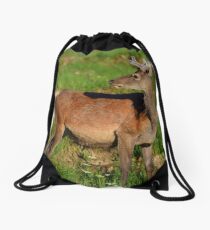 Red Deer Drawstring Bag