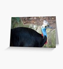 Cassowary Greeting Card