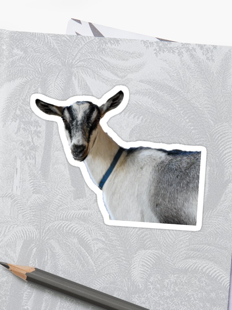 Goat Dairy Farm Barn Sticker By Succulents Redbubble